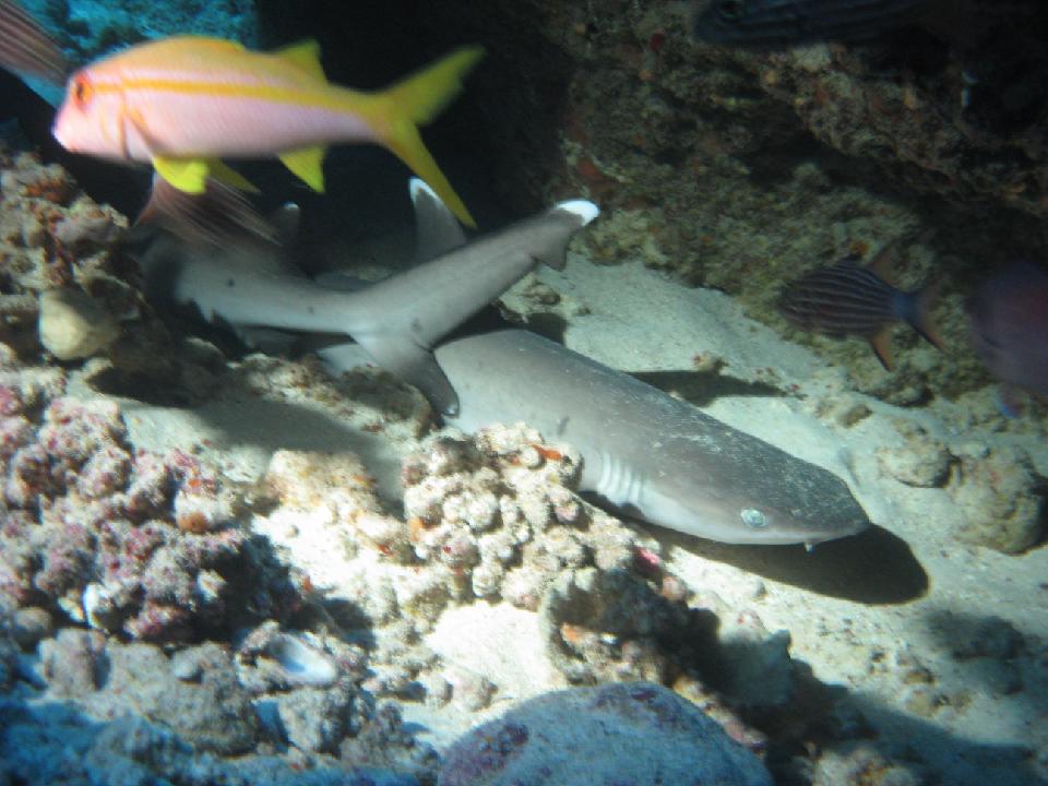 2012_02_16 rotes meer 092.jpg